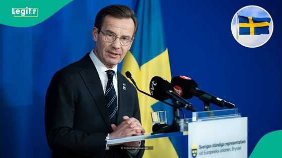 Sweden launches website where foreigners can find jobs, announces over 60,000 vacancies