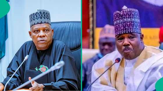 Kashim Shettima na da hannu a kafa Boko Haram? Ali Modu Sherrif ya fadi gaskiya