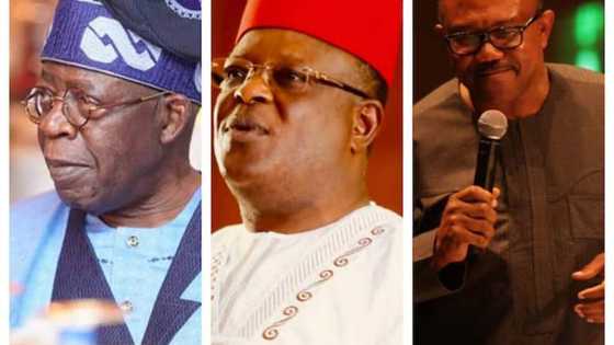 Yadda Gwmanan Jihar Ebonyi Ya Nuna Gyan Bayan Karara Ga Dan Takarar Jami'iyyar APC