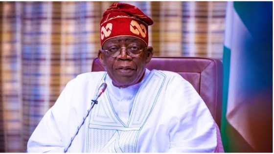 President Tinubu sets new record with second batch of ministerial nominees