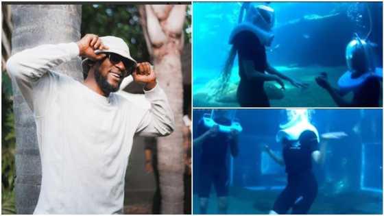 What if she said no? Massive reactions as BBNaija star Omashola proposes to girlfriend inside water in video