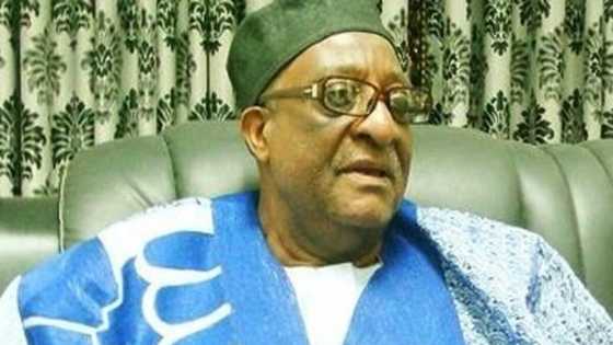 Secondus bai yi mana adalci ba idan ya rusa PDP, Shugaban kwamitin dattawan jam'iyyar Walid Jibrin