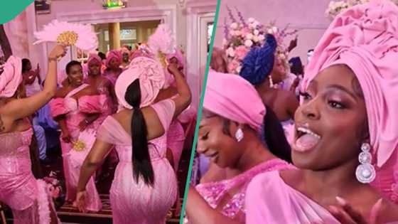 "Naija no dey carry last": Asoebi ladies turn heads at wedding with colourful outfits, video trends