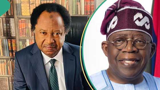 “Cut extravagance”: Shehu Sani reacts as Tinubu slashes presidency's travel cost by 60 percent