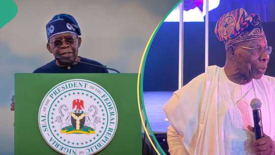 "Nigeria, we hail thee": How Tinubu, Obasanjo renewed their cold war