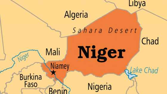 For peace to reign, Niger Republic frees Boko Haram members, terrorist chiefs