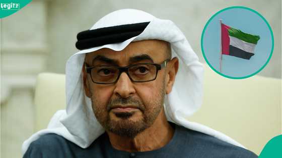 UAE publishes 3 work permit types valid for less than 2 years, explains conditions