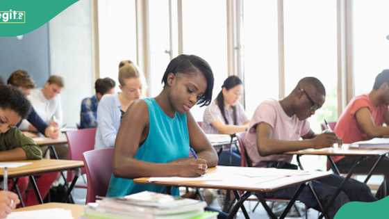 "Go back home": Nigerian students, others reportedly deregistered by UK universities amid new law