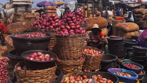 We’d rather waste farm produce instead of transport them to the south - Northern traders