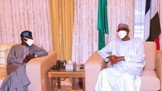 Just in: President Buhari sends special message to Tinubu