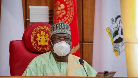 BREAKING: Prominent northern APC senator joins presidential race, picks up N100m nomination forms