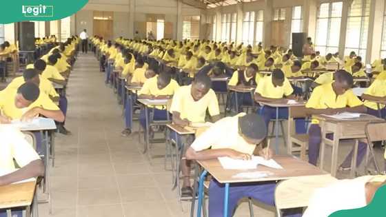WAEC: Parent hires thugs to assault vice principal for preventing cheating