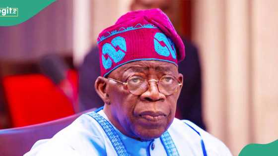 “Tinubu has failed”: Northern elders react to release of Kaduna schoolchildren, taunt APC govt