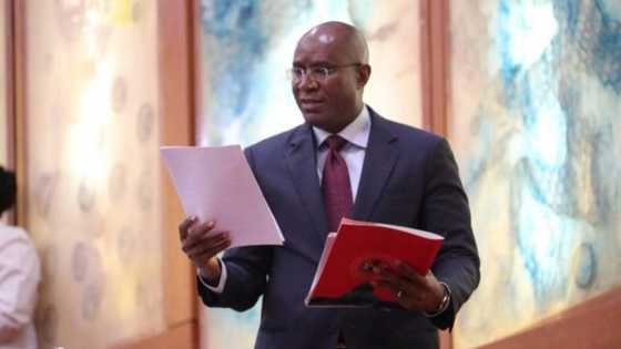 President Buhari to help determine who becomes Senate president - Omo-Agege