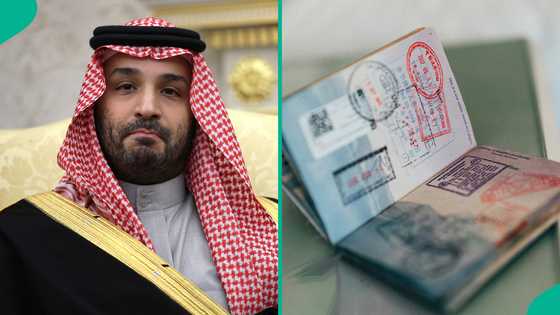 Saudi Arabia lists 3 visa types available to Nigerians, explains requirements and costs