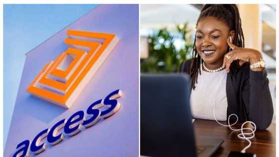 US Gives Access Bank N173.6 billion fo Finance small businesses in Nigeria