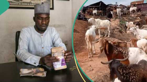 Ana shirin Sallah, darajar Naira ta yi raga-raga a kasuwa