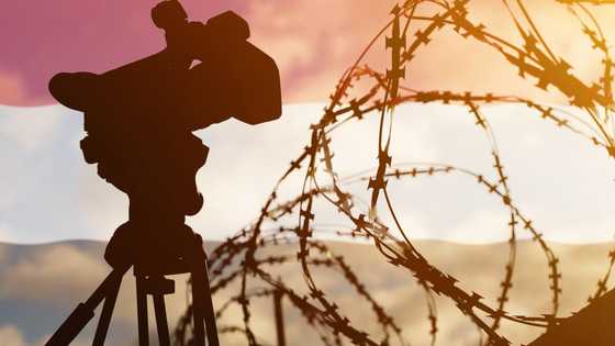 33 best prison movies of all time to add to your watchlist