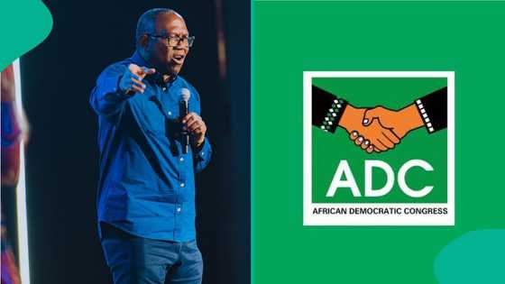Peter Obi's ally gives 1 condition to ADC after coalition directive