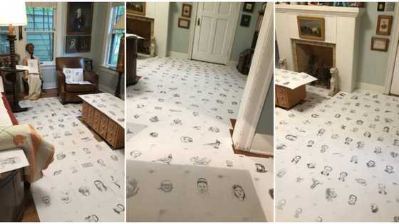 Man makes 400 drawings for each day he didn't go out, 'scatters' room with it, beautiful photos cause stir