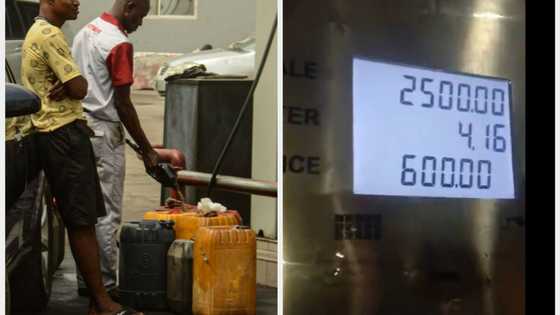 Marketers alert Nigerians on new petrol prices for North, South regions as private companies begin importation