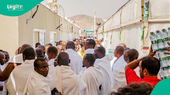 Exclusive: Mental health crisis among Nigerian pilgrims raises concern at Hajj 2025