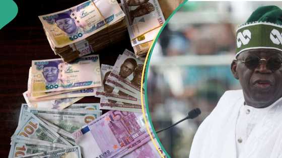 Naira bounces back, appreciates by 4.5% against US dollar as tribunal Confirms Tinubu’s presidency