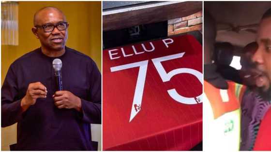 "Tinubu people no won dance": Peter Obi's 'Ellu P' chant turns club banger, video from nightclub goes viral