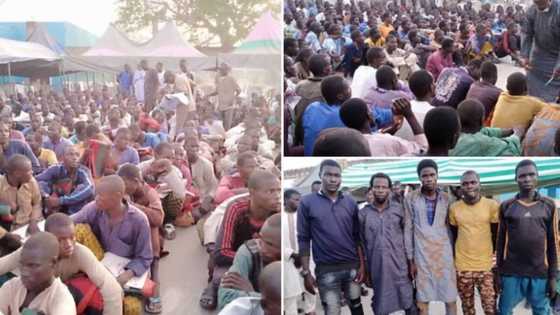 Borno: Bidiyo ya nuna lokacin da 'yan Boko Haram 314 ke mika wuya ga jami'an sojoji