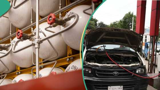 After making highest profit in history, NNPC’s subsidiary moves to build gas stations nationwide