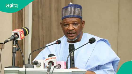 Ex-power minister discloses what Nigerian govt must do to achieve stable power supply: “I'm hopeful"