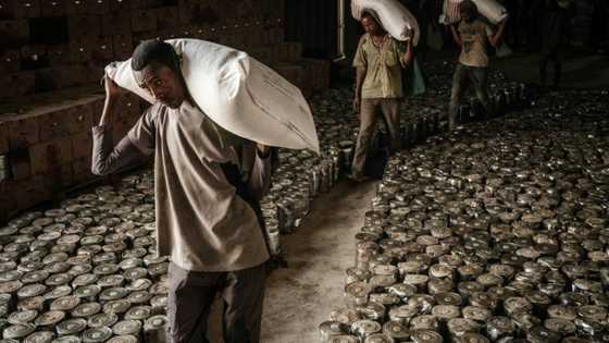 EU urges Ethiopia to lift fuel restrictions to Tigray