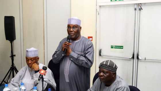 2023 presidency: Why Atiku will defeat Tinubu, Obi, others, Dino Melaye gives reasons