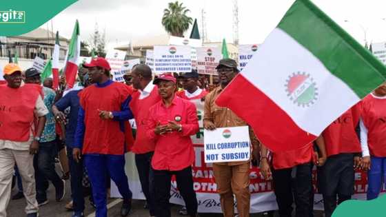 NLC's strike to stop Imo governorship election from holding? Police speak out