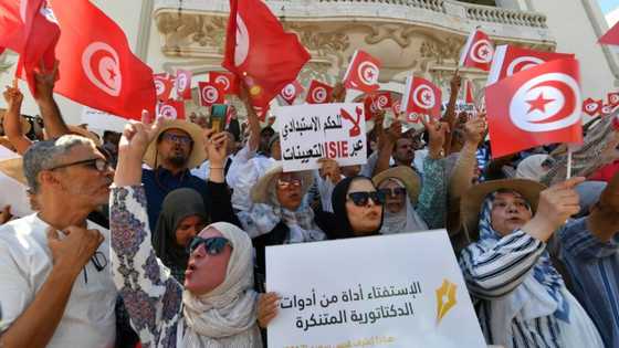 Hundreds protest against Tunisia constitution ahead of vote