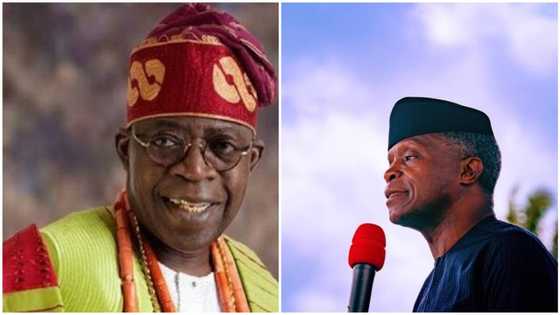 2023 Presidency: No PDP candidate can defeat Tinubu, Osinbajo, APC chieftain declares