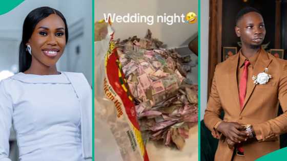 Newlywed couple spend first night counting money sprayed at wedding, funny video goes viral