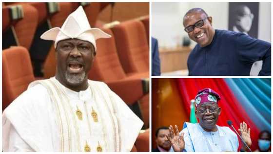 2023 Election: PDP fires shots at APC, LP, reveals how Obi will help Tinubu win