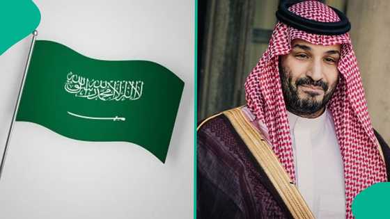 Saudi Arabia publishes fee foreigners must pay for 5-year special talent residence permit
