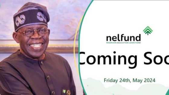 NELFund: Gwamnatin Tinubu za ta bude dandalin taimakawa dalibai samun aiki