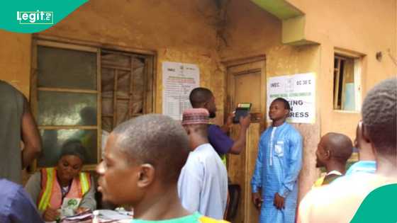 Jubilation as INEC declares winner in Bwari Area Council
