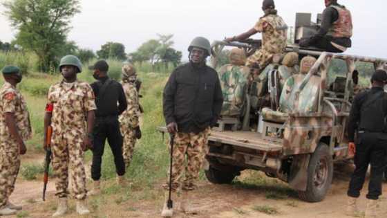 Boko Haram sun kashe mutum 3, sun yi awon gaba da dabbobi a kusa da Maiduguri