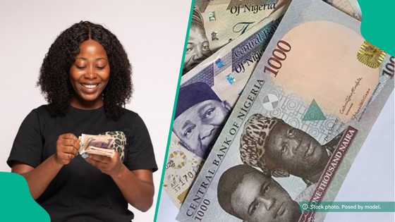 Naira reacts on parallel market as global oil prices rebound, analysts give reasons