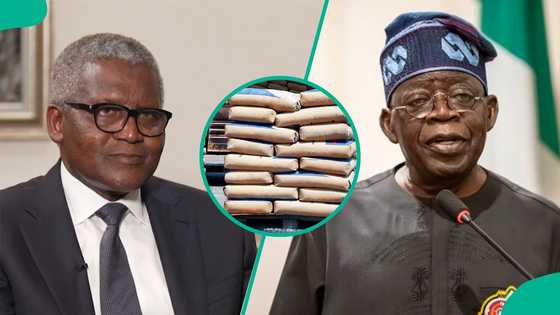 Does Tinubu govt earn N6,240 from every bag of Dangote cement? Company responds
