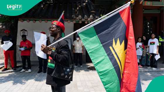MASSOB vs IPOB: Between peaceful agitation and chaos
