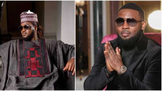 "Make una no dey stand for fence": Paul Okoye slams AY over post about election and PVC