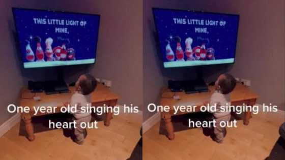 Talented one-year-old sings song on TV with perfect pitch, video goes viral on TikTok