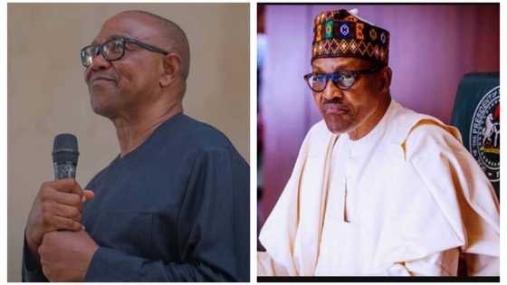 2023 elections: Serious trouble looms for Buhari over attack on Peter Obi