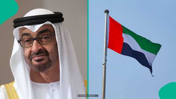 UAE bans 1 category of people from working as domestic workers, mentions those affected