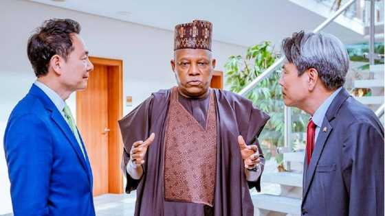 Gwamnatin Tinubu Za Ta Samar Da Ayyuka Miliyan 1 Ga Matasan Najeriya, Kashim Shettima Ya Yi Bayani